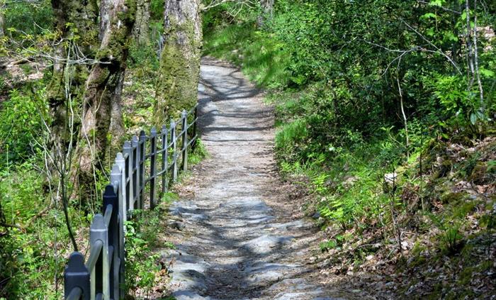 This part of the walk is gentle but it gets a lot steeper
